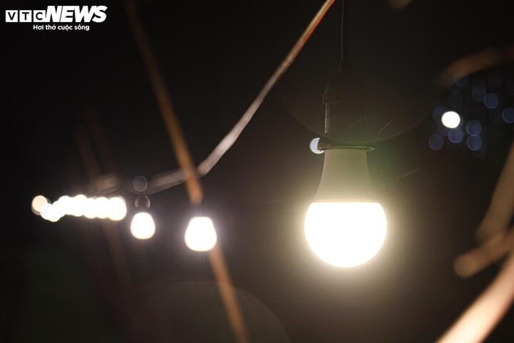 Chong đèn xuyên đêm, bắt hoa nở trúng Tết: 'Thủ phủ' hoa Hà Nội huyền ảo hút mắt - Ảnh 5