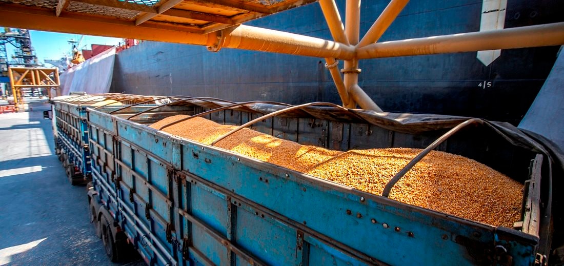 Hàng chục nghìn tấn hàng từ Lào ồ ạt tràn sang Việt Nam với giá rẻ kỷ lục - Nước ta có diện tích trồng top 30 thế giới vẫn phải chi tỷ USD nhập khẩu - Ảnh 1