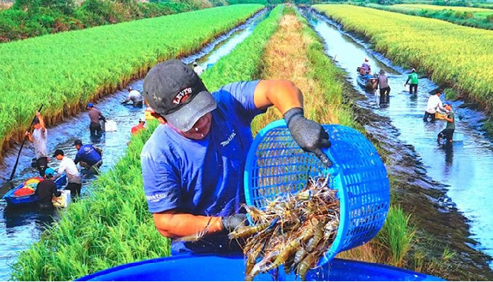 “Việt Nam có mô hình độc - lạ, hiện chưa quốc gia nào làm được” - Ảnh 3