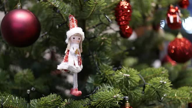 Thông tươi tiền triệu hút khách mùa Noel - Ảnh 11