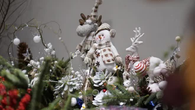 Thông tươi tiền triệu hút khách mùa Noel - Ảnh 3