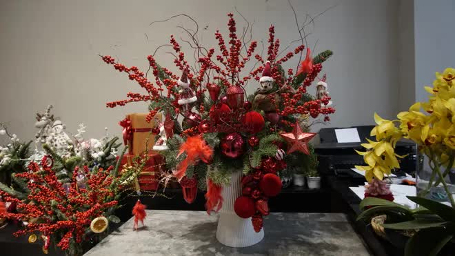 Thông tươi tiền triệu hút khách mùa Noel - Ảnh 2