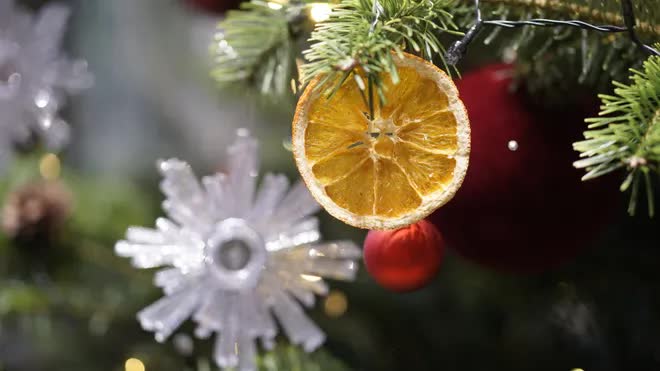 Thông tươi tiền triệu hút khách mùa Noel - Ảnh 10