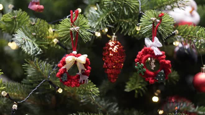 Thông tươi tiền triệu hút khách mùa Noel - Ảnh 9