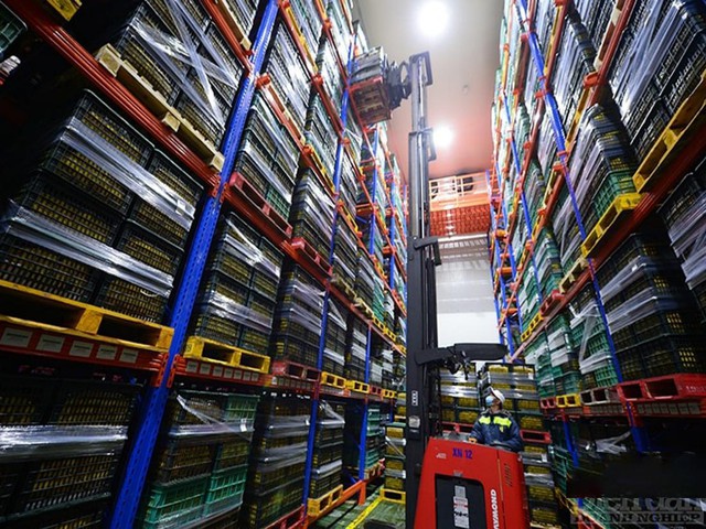 Hạnh Nguyên Logistics khai trương nhà máy chiếu xạ công suất lớn 1000 tấn/ngày - Ảnh 1