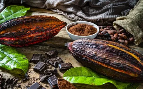 Giá ca cao lập đỉnh mới - Ảnh 1