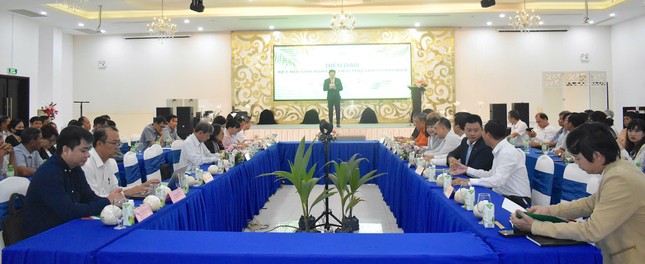 Xuất khẩu dừa đạt kỷ lục, thu về 900 triệu USD - Ảnh 1