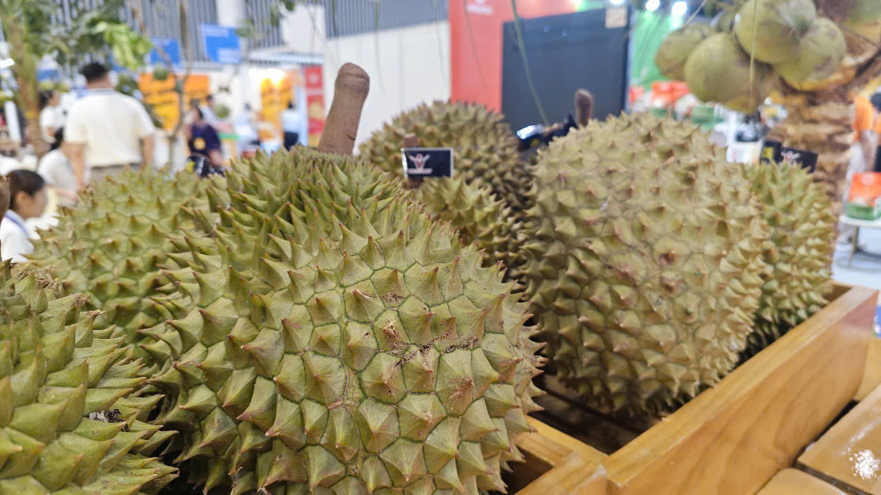 Cảnh báo gian lận xuất khẩu sầu riêng sang Trung Quốc - Ảnh 1