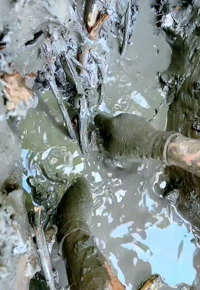 Hot TikToker bị tố "tạo content", mua củ sen về rồi dàn dựng cảnh đi đào, cư dân mạng người bênh kẻ phản đối - Ảnh 5