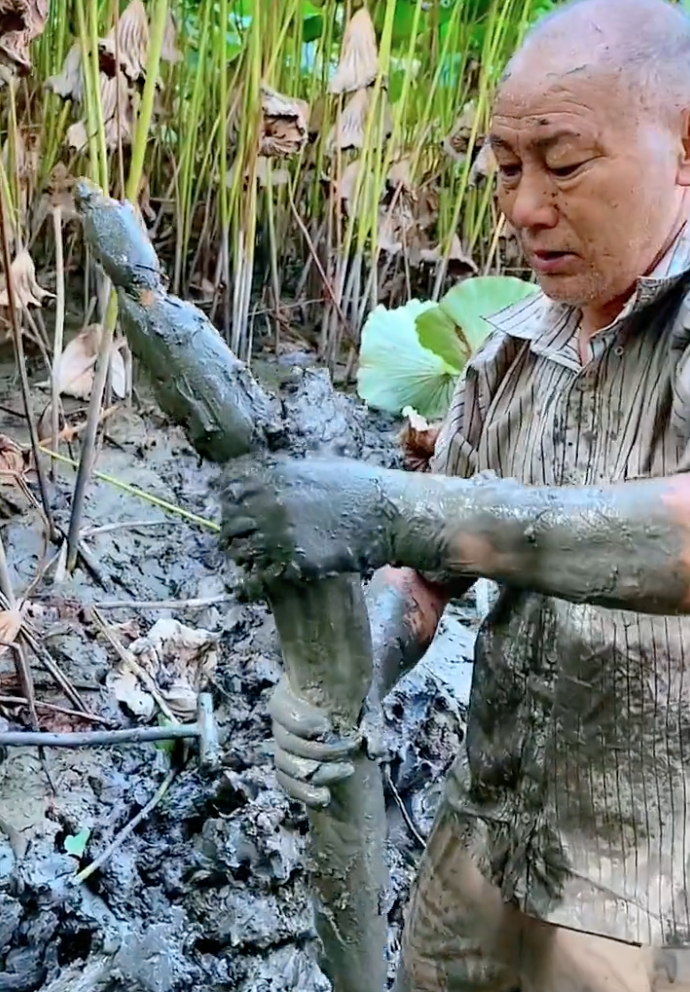 Hot TikToker bị tố "tạo content", mua củ sen về rồi dàn dựng cảnh đi đào, cư dân mạng người bênh kẻ phản đối - Ảnh 6