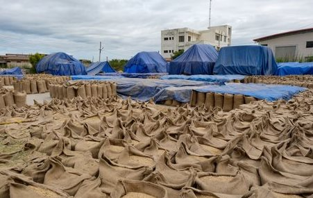 Ukraine bất ngờ săn lùng hàng chục nghìn tấn hàng này từ Việt Nam: Xuất khẩu tăng hơn 1.300%, nước ta là 1 trong 3 ông trùm của thế giới - Ảnh 1