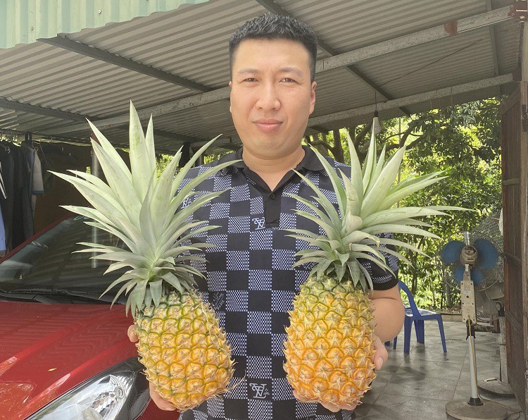 Thử trồng loại cây lạ mà quen, 8x Phú Thọ thu hàng trăm triệu đồng từ nghề tay trái - Ảnh 3