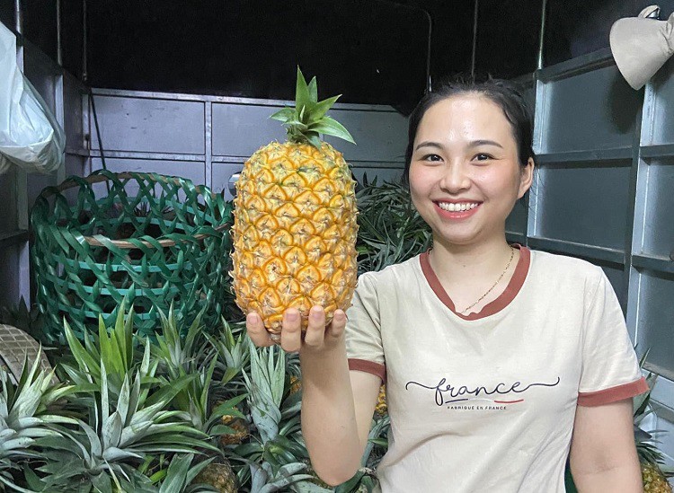 Thử trồng loại cây lạ mà quen, 8x Phú Thọ thu hàng trăm triệu đồng từ nghề tay trái - Ảnh 2