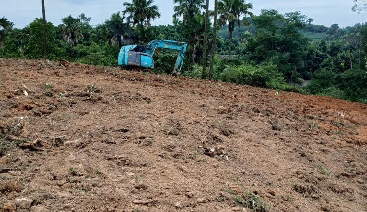 Thử trồng loại cây lạ mà quen, 8x Phú Thọ thu hàng trăm triệu đồng từ nghề tay trái - Ảnh 4