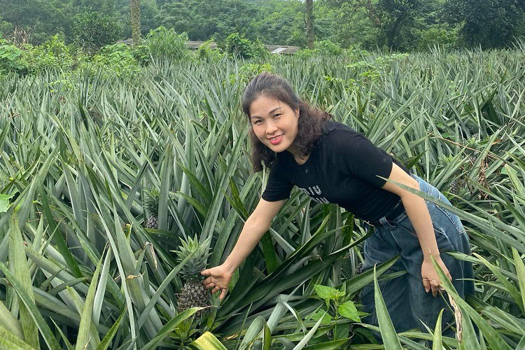 Thử trồng loại cây lạ mà quen, 8x Phú Thọ thu hàng trăm triệu đồng từ nghề tay trái - Ảnh 6