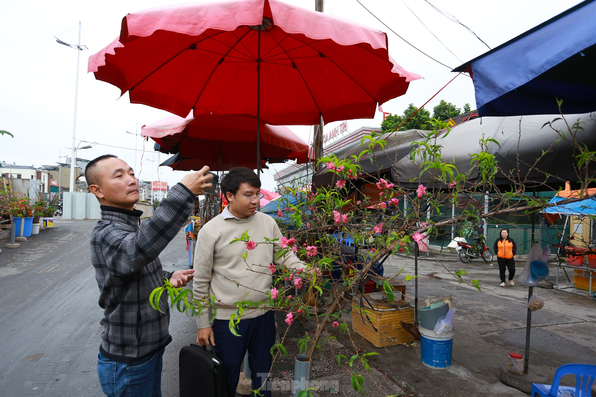 Đào, quất xuống phố mang không khí Tết đến sớm với người dân Thủ đô - Ảnh 8