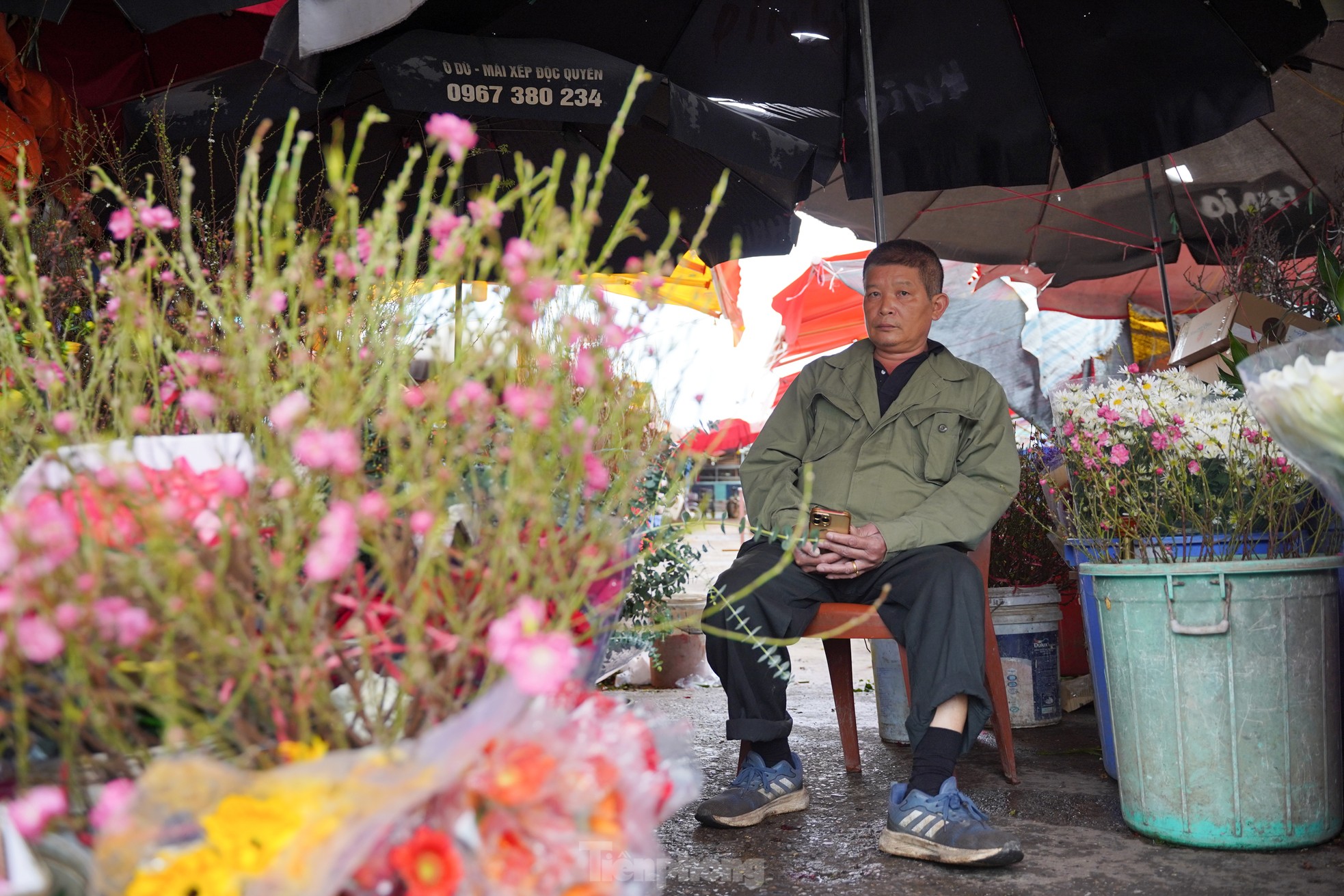 Đào, quất xuống phố mang không khí Tết đến sớm với người dân Thủ đô - Ảnh 3