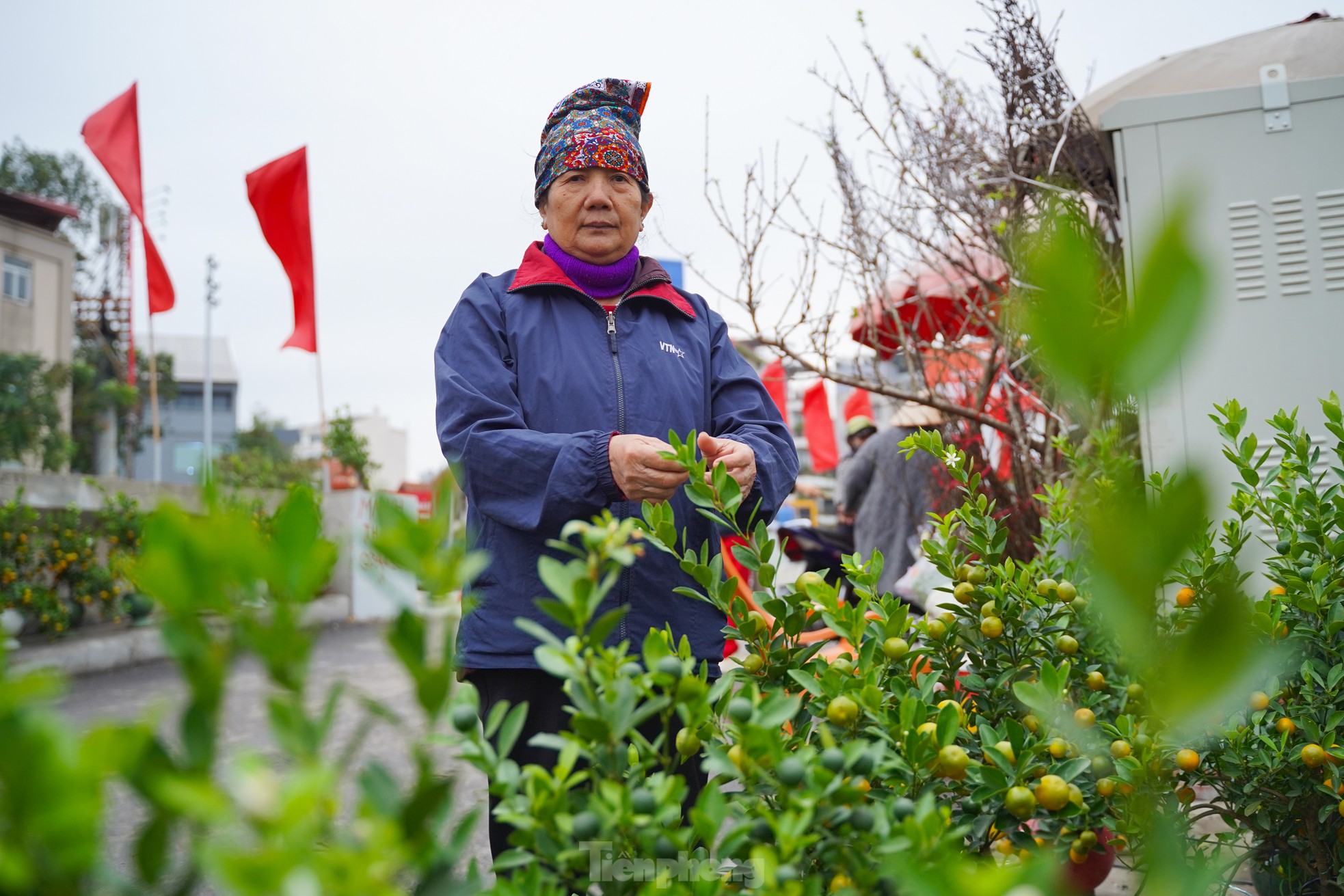 Đào, quất xuống phố mang không khí Tết đến sớm với người dân Thủ đô - Ảnh 15