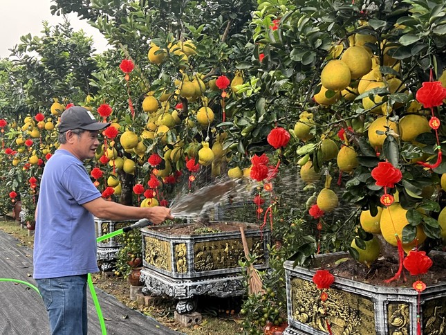 Bất ngờ với thị trường Tết sớm ở TPHCM - Ảnh 7