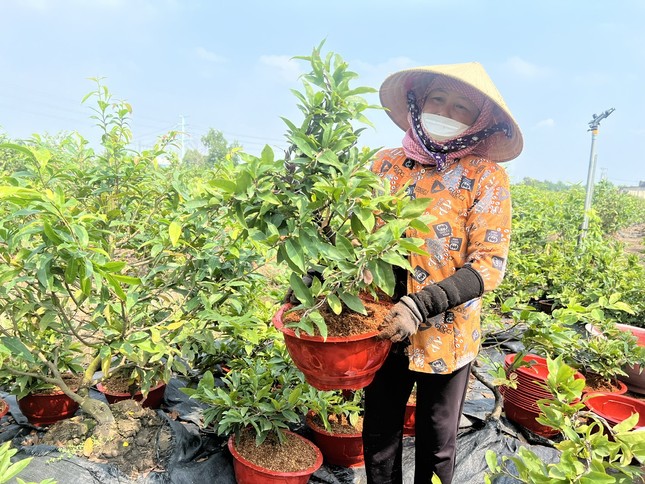 Bất ngờ với thị trường Tết sớm ở TPHCM - Ảnh 5