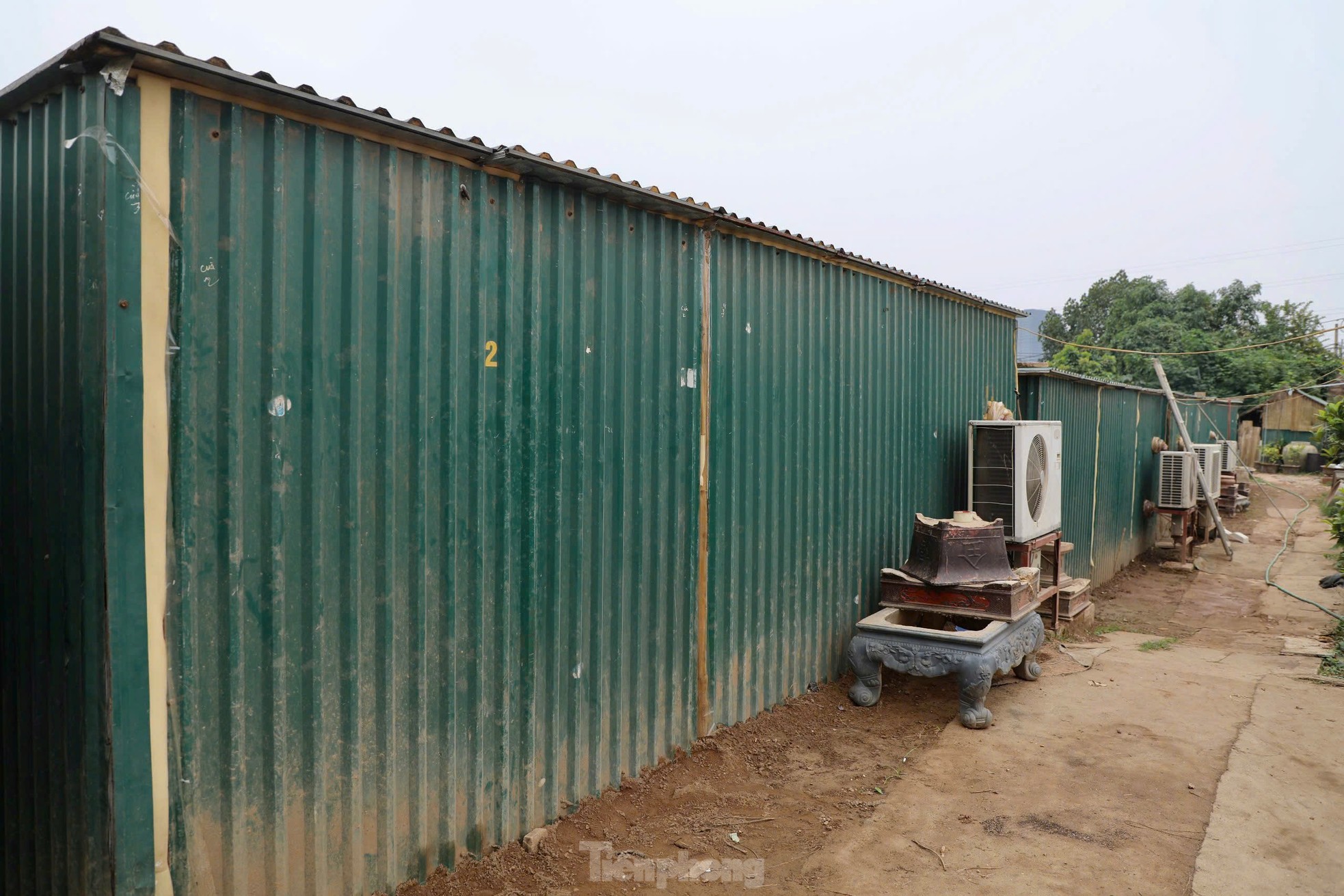 Chiêm ngưỡng 'vua của các loài đào' nằm phòng điều hoà chờ hoa nở đúng dịp Tết Nguyên đán - Ảnh 7