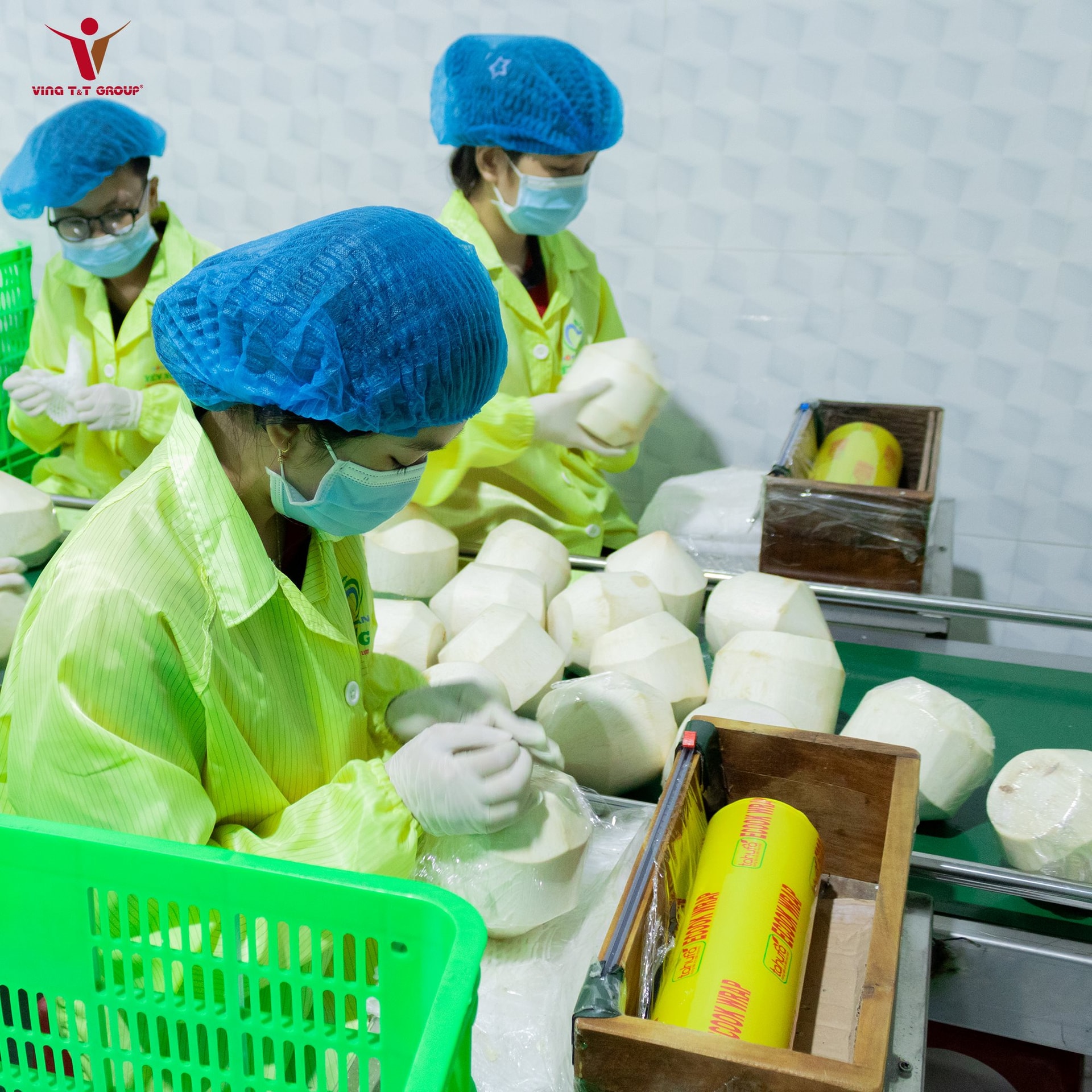 Dừa Việt - ‘Ngôi sao mới nổi’ trong CLB xuất khẩu nông sản tỷ đô: Đấu tay bo với dừa Thái ở xứ Trung, vượt ngàn chông gai chinh phục thị trường Mỹ - Ảnh 5