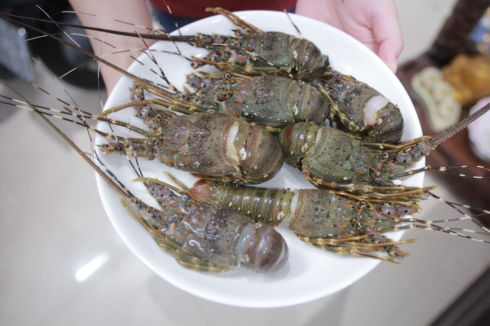 Tôm hùm bán trên mạng, 10.000 đồng/con, tin được không? - Ảnh 2