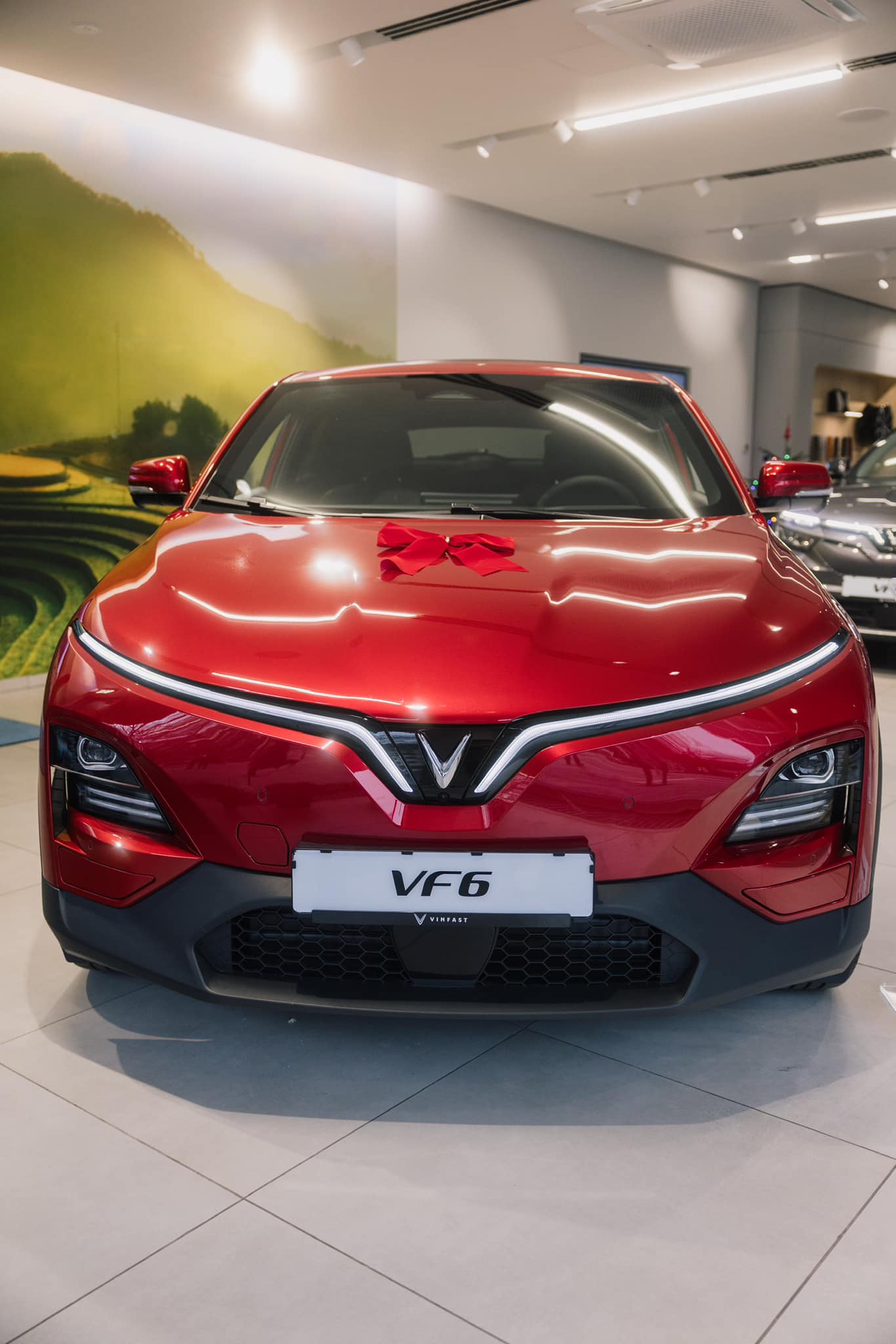 Sau VF 8, VinFast tiếp tục mang VF 6 đến châu Âu, giá thấp nhất hơn 900 triệu đồng - Ảnh 3