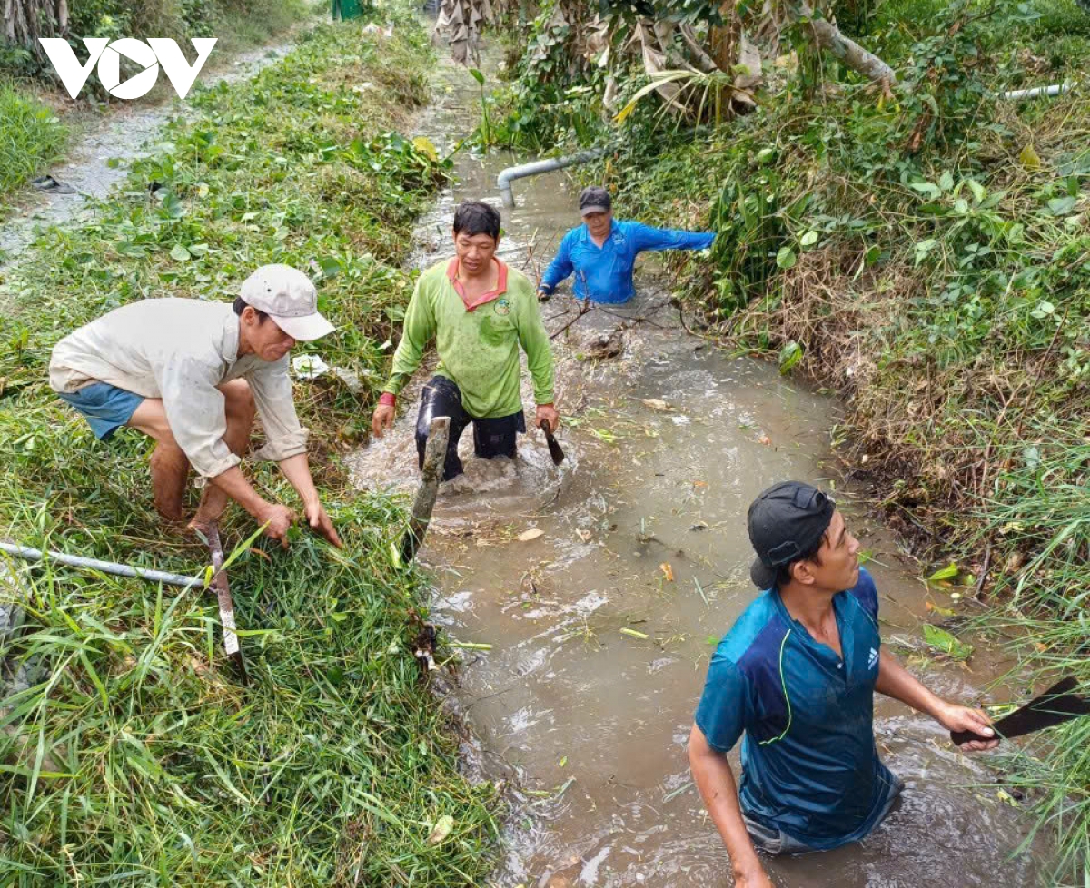 Bảo vệ vườn cây "tỷ phú" chống hạn mặn - Ảnh 2