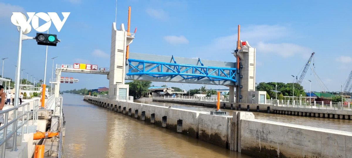 Bảo vệ vườn cây "tỷ phú" chống hạn mặn - Ảnh 4