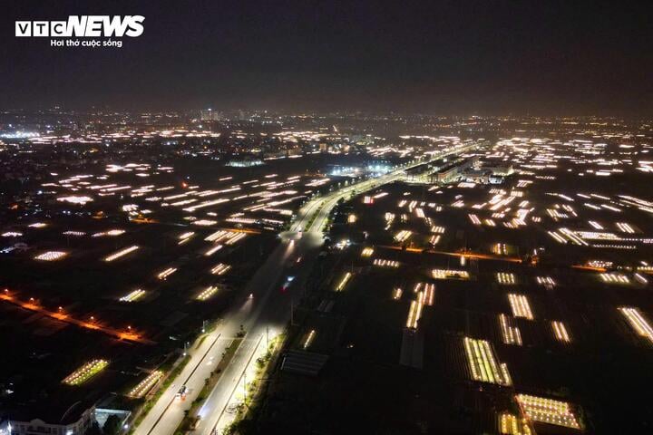 Chong đèn xuyên đêm, bắt hoa nở trúng Tết: 'Thủ phủ' hoa Hà Nội huyền ảo hút mắt - Ảnh 17