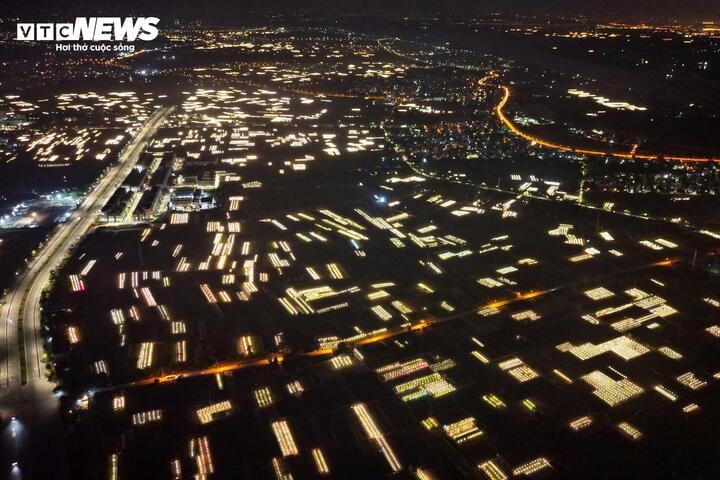 Chong đèn xuyên đêm, bắt hoa nở trúng Tết: 'Thủ phủ' hoa Hà Nội huyền ảo hút mắt - Ảnh 1