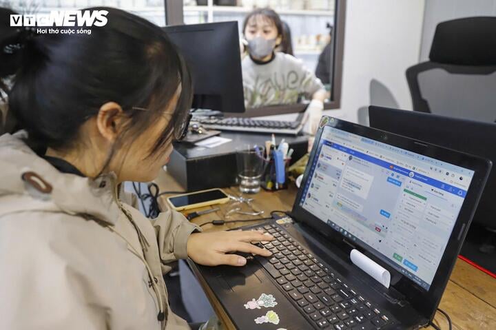 Khách tiết kiệm chi tiêu, tùng, thông tươi mini 'lên ngôi' mùa Noel - Ảnh 13