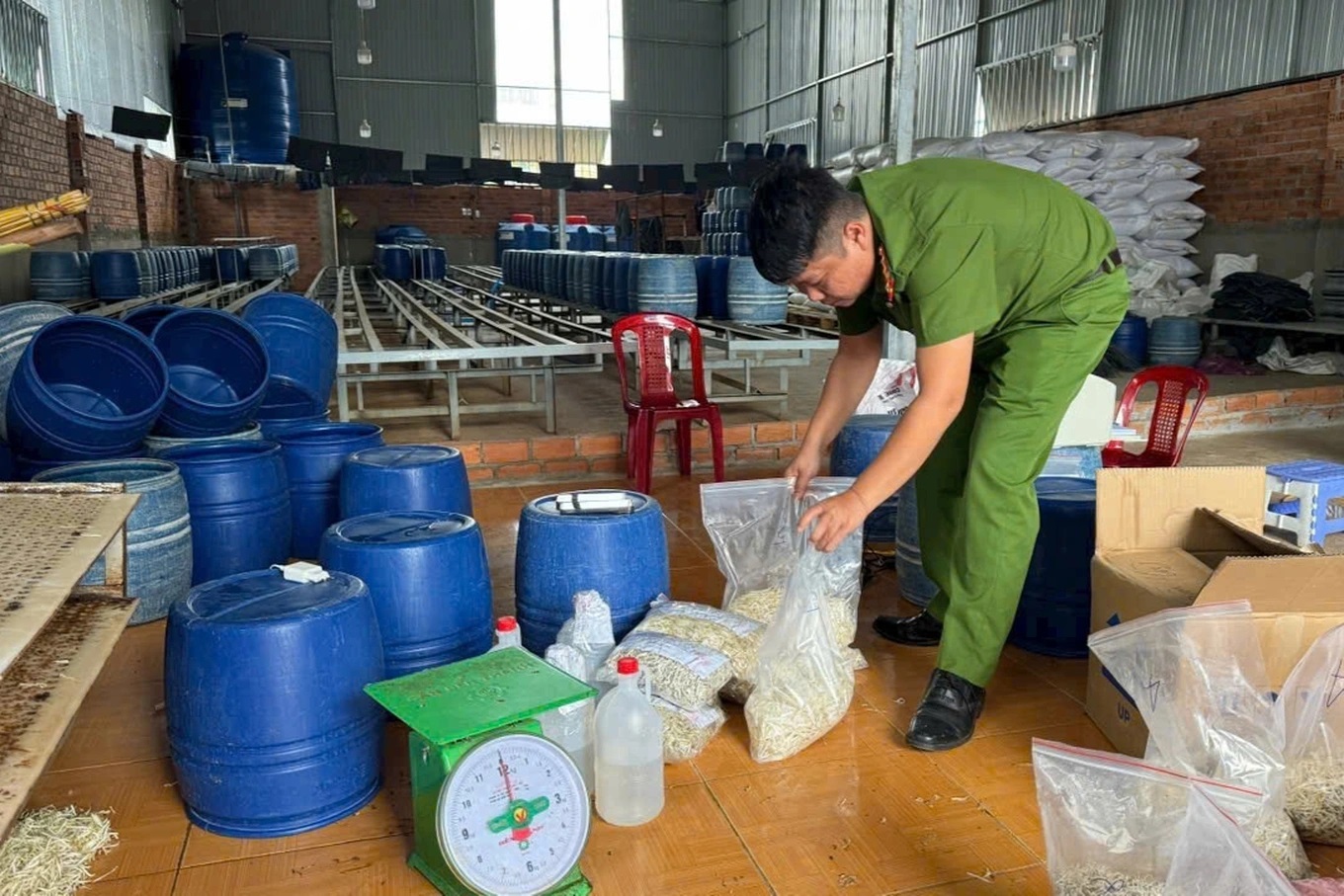 Lời khai quan trọng của nhóm đối tượng bán gần 3.000 tấn giá đỗ ủ chất cấm - Ảnh 1