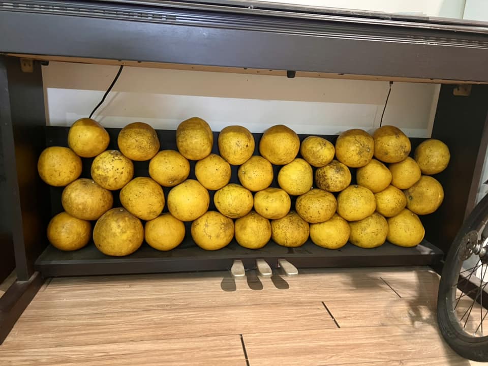 Nhìn là biết ngay Tết miền Bắc: Các gia đình chất đầy "trứng rồng" trong nhà để ăn dần - Ảnh 1