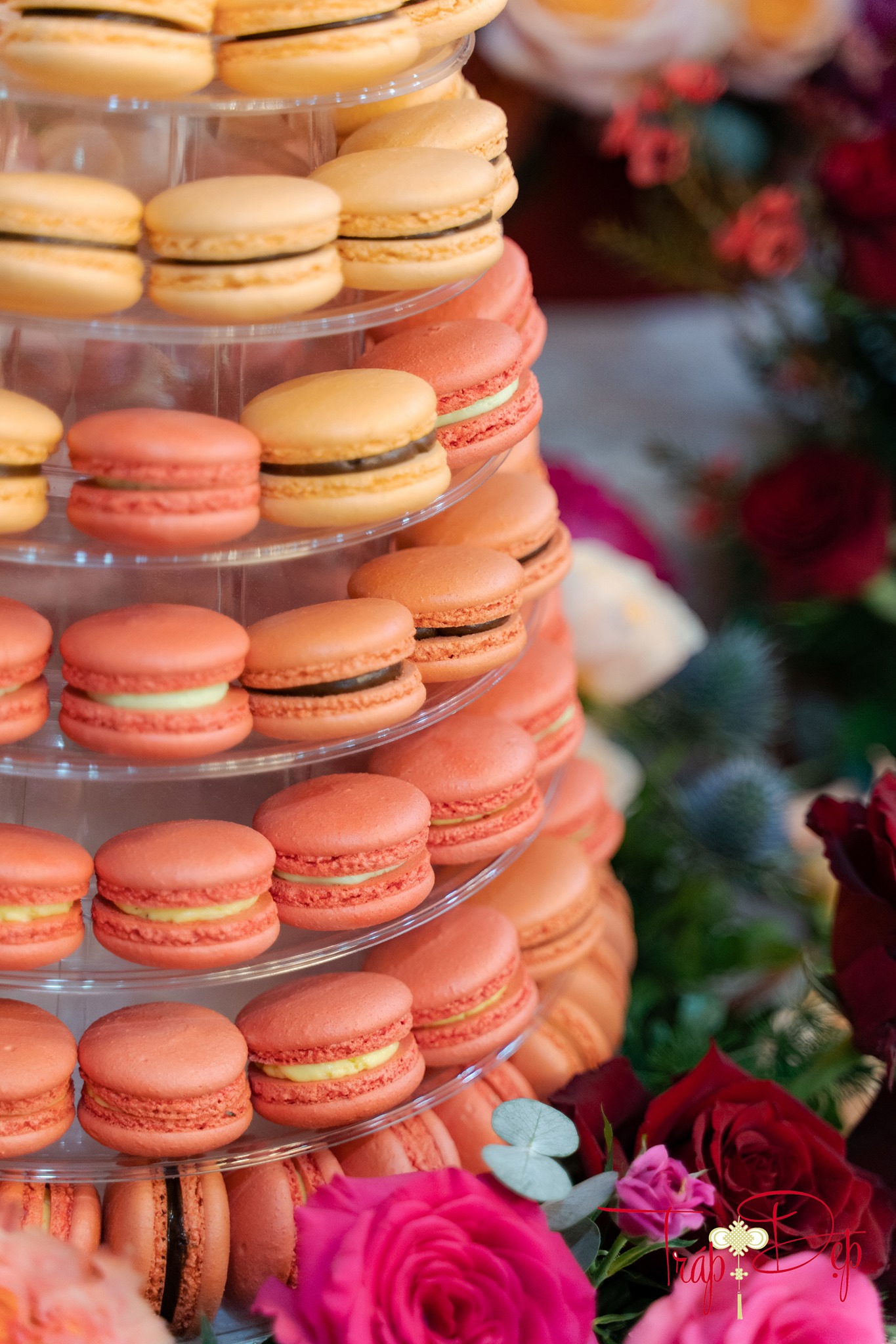 Soi dàn sính lễ mà thiếu gia Vingroup hỏi cưới Á hậu Phương Nhi: Xuất hiện một loại bánh "rất Tây" - Ảnh 6