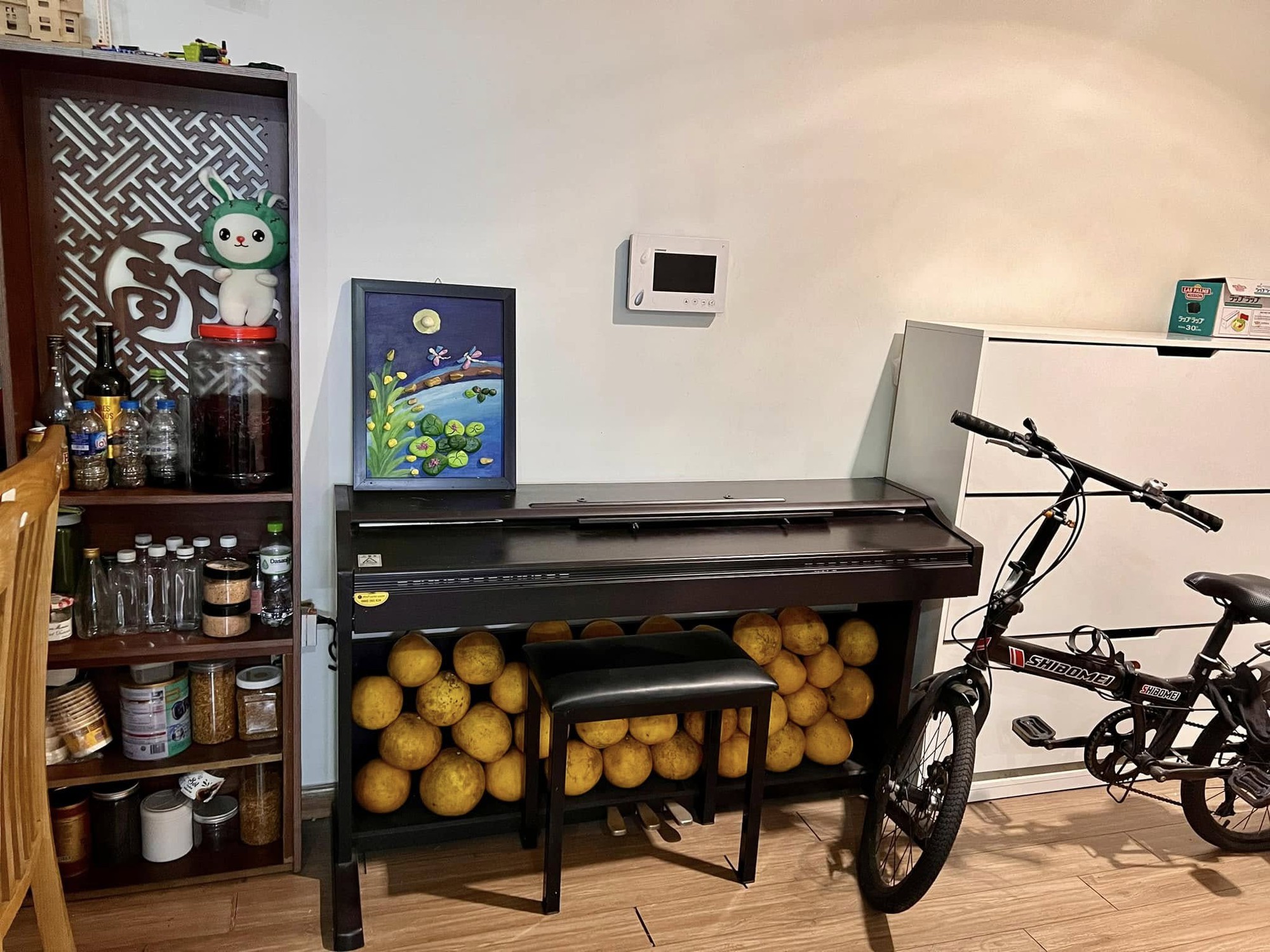 Nhìn là biết ngay Tết miền Bắc: Các gia đình chất đầy "trứng rồng" trong nhà để ăn dần - Ảnh 2