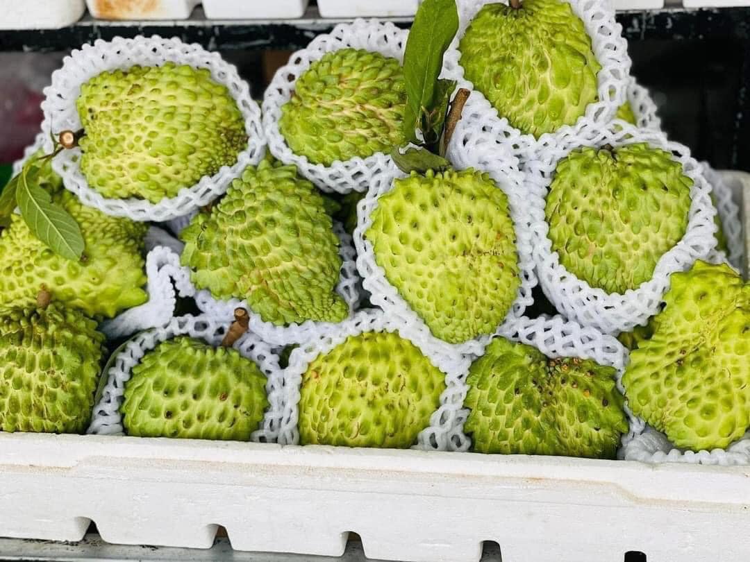 Loại trái cây độc lạ tiền triệu, rớt giá chỉ còn vài chục ngàn đồng - Ảnh 1