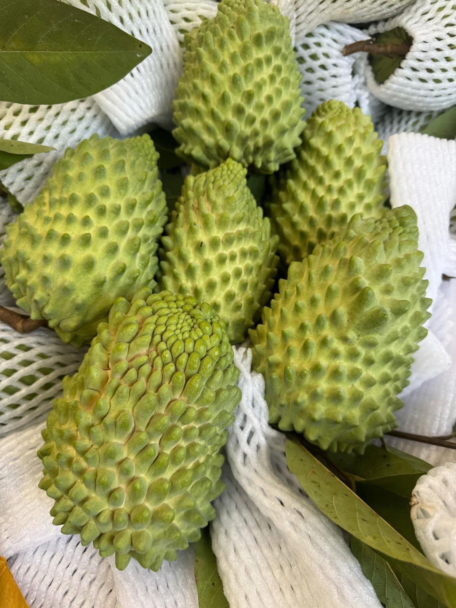 Loại trái cây độc lạ tiền triệu, rớt giá chỉ còn vài chục ngàn đồng - Ảnh 2