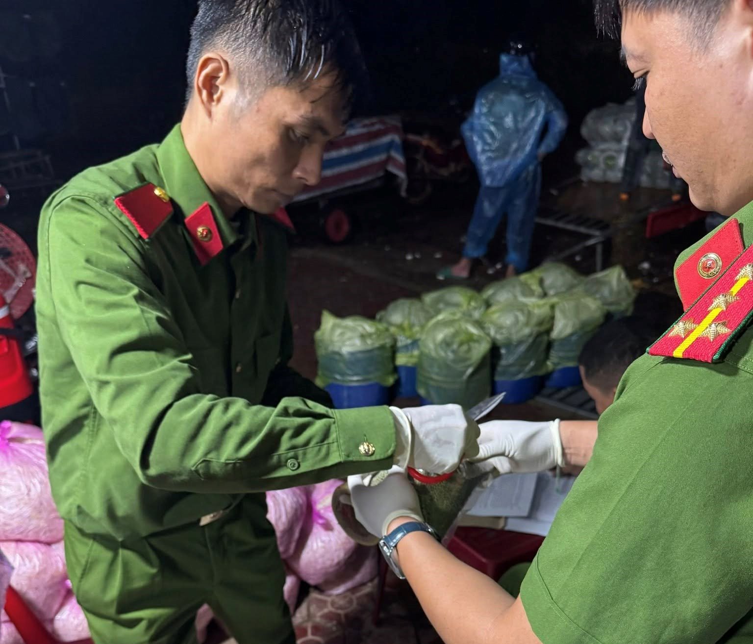 Lại phát hiện cơ sở sản xuất giá đỗ sử dụng chất cấm - Ảnh 2