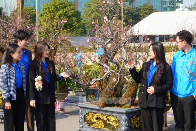 Dân chơi mạnh tay chi tiền mua đào cổ rêu phong đón Tết - Ảnh 11