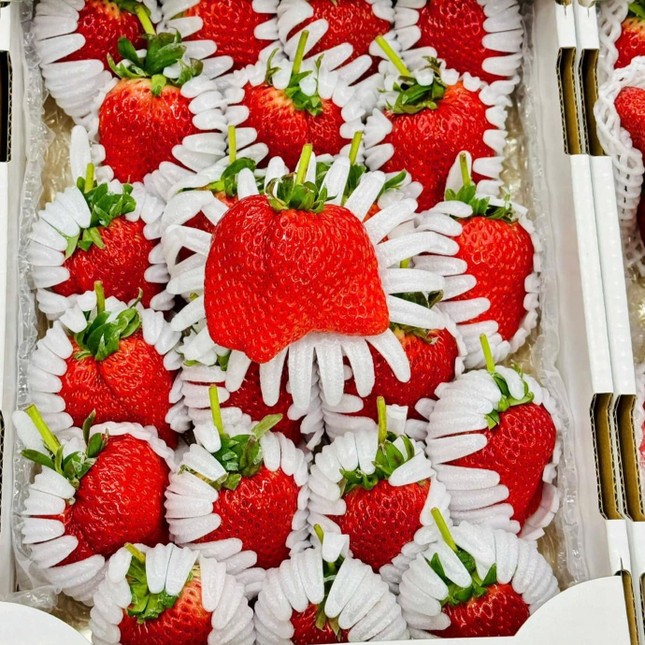 Dâu tây ‘công chúa’ gần 7 triệu đồng/kg vẫn 'cháy' hàng - Ảnh 1