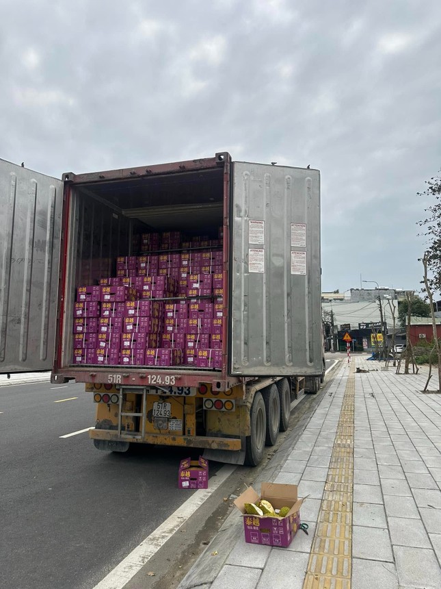 Cuống cuồng bán tống bán tháo sầu riêng - Ảnh 3