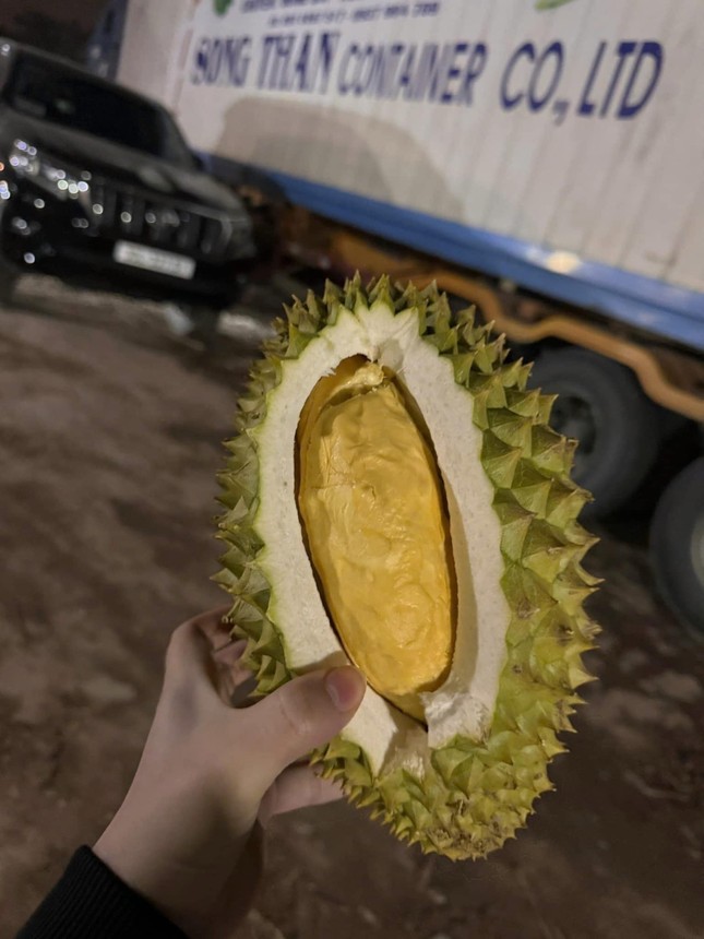 Cuống cuồng bán tống bán tháo sầu riêng - Ảnh 4