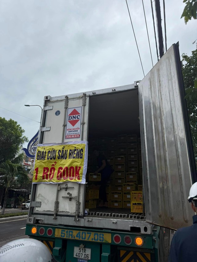 Cuống cuồng bán tống bán tháo sầu riêng - Ảnh 1