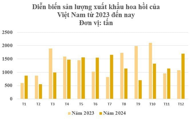 Chốt năm 2024: Hoa nghìn tỷ giúp Việt Nam thu 63 triệu USD, vẫn là ông trùm top 2 thế giới - Ảnh 2