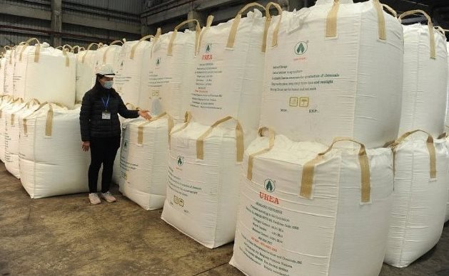 Hàn Quốc, Campuchia đua nhau săn lùng một ‘mỏ vàng’ của Việt Nam: Thu về hơn 700 triệu USD, nước ta nắm sản lượng hơn 6 triệu tấn mỗi năm - Ảnh 1