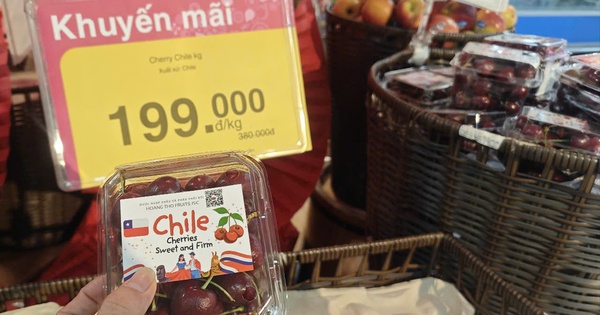 Cherry Chile giá rẻ bất ngờ, nhiều người nghi ngờ hàng Trung Quốc