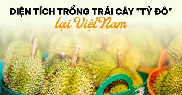 Bản đồ tỷ đô: Loại sản vật trời ban cho riêng Đông Nam Á giúp Việt Nam thu 3,3 tỷ USD, tỉnh nào đang là ‘thủ phủ’?