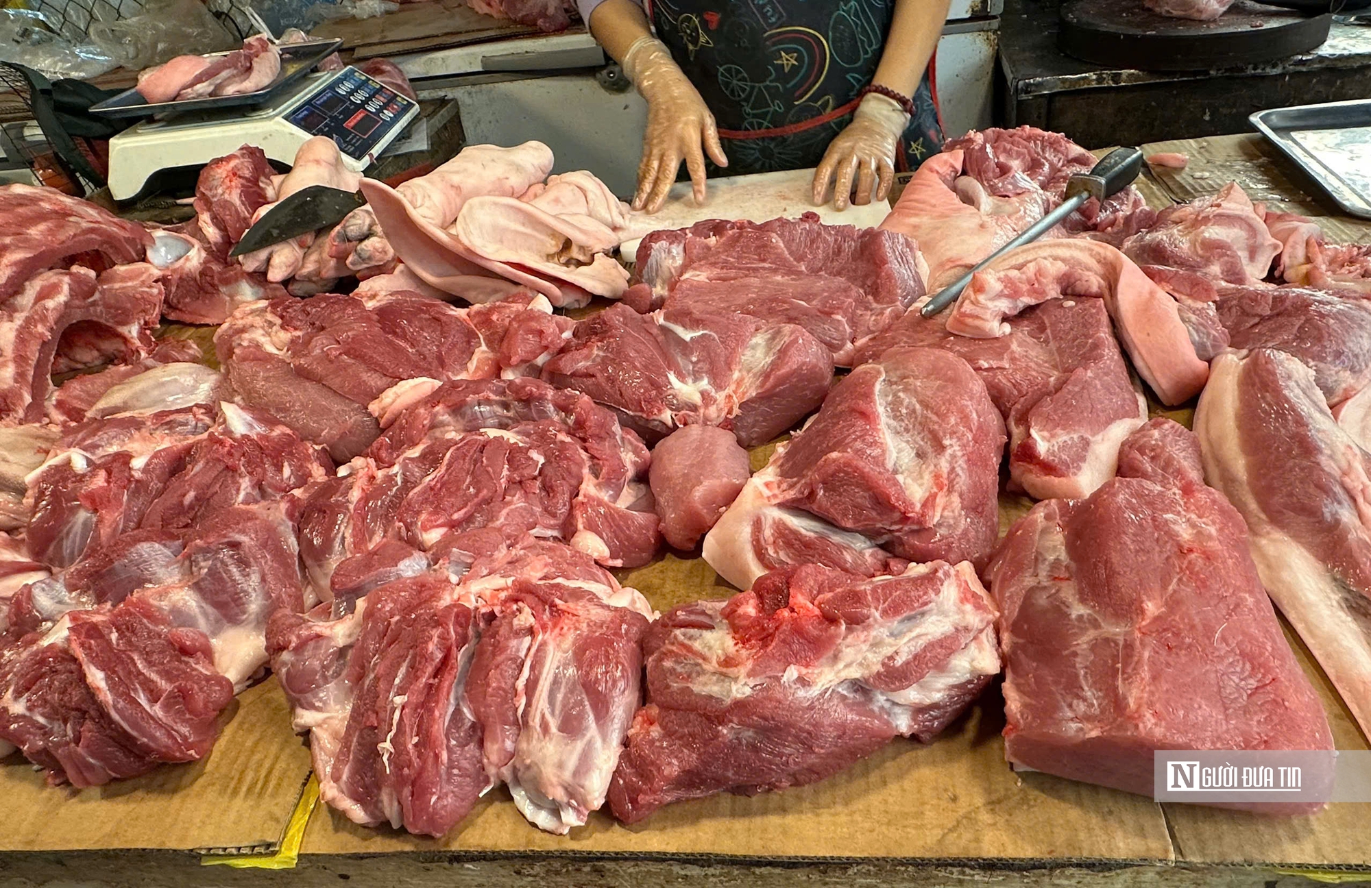 Gần Tết, thịt tươi sống đồng loạt "rủ nhau" tăng giá - Ảnh 1